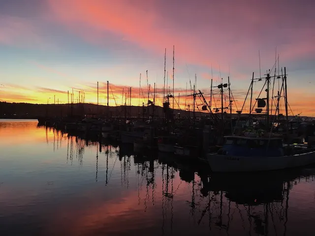 Half Moon Bay sunrise (2017)