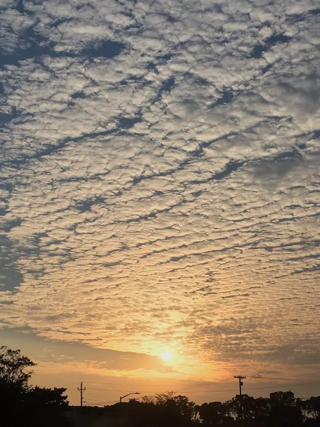 Clouds in the Bay (2017)