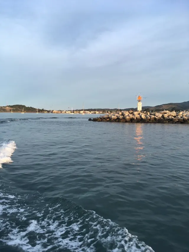 Pillar Point Harbor (2017)